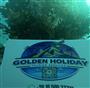 popular Tours
